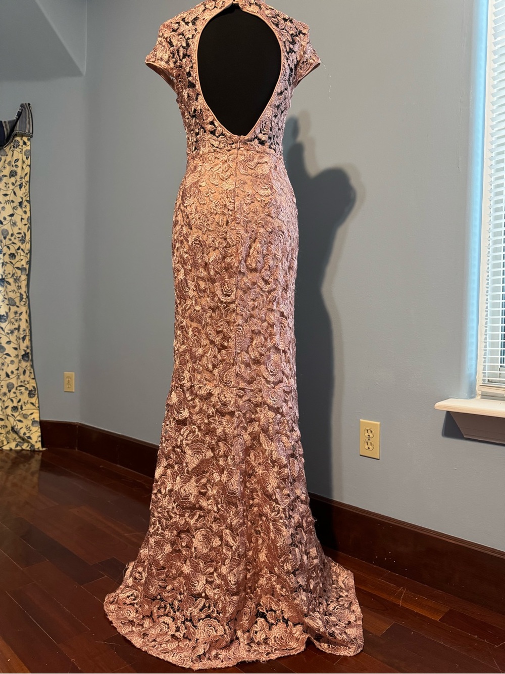 Blu Sage Rose Lace Maxi Gown - Dusty Rose - Picture 3 of 6
